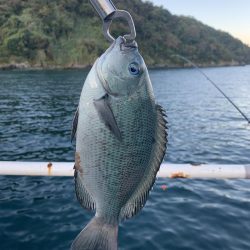 秋ですね。朝は肌寒い