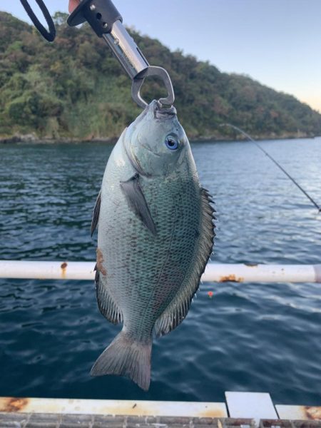 秋ですね。朝は肌寒い
