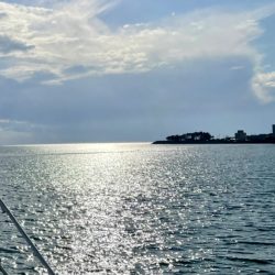 カレイと五目釣り