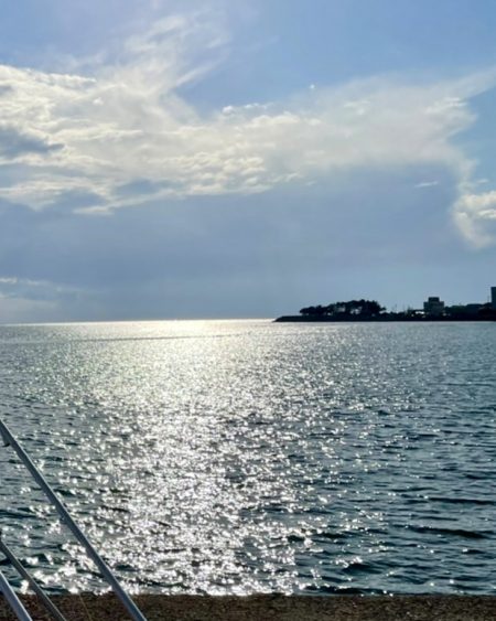 カレイと五目釣り