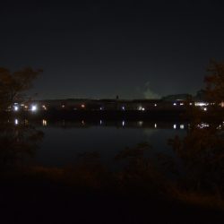 何とか一匹だけ