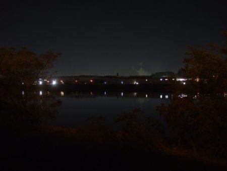 何とか一匹だけ