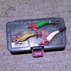 ヒイカエギング