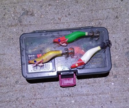 ヒイカエギング