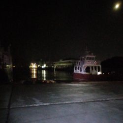 ヒイカエギング