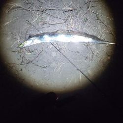 シンキングベンシル