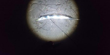 シンキングベンシル