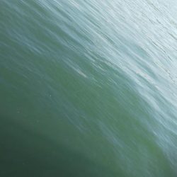 堤防小物フカセ