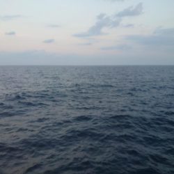 今回はアオリをメインで