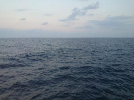 今回はアオリをメインで