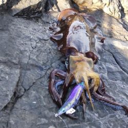 半年ぶりの釣行です。