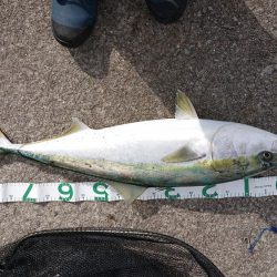 またまた自己新！