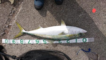 またまた自己新！