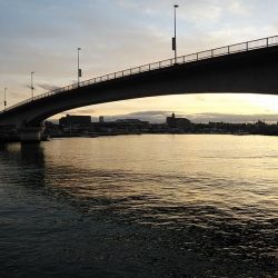 東二見でデカギスが釣れました