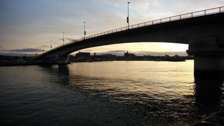 東二見でデカギスが釣れました