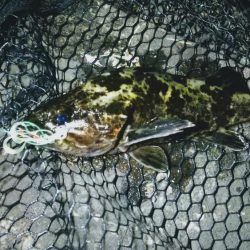 港内ボトム探り