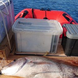 久々の2馬力ボート釣り