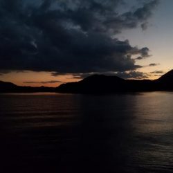 久しぶりのサゴシ