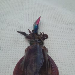 ボートエギング