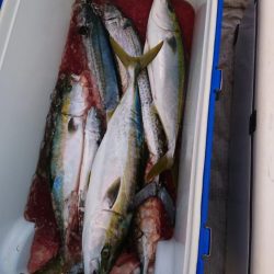 オフショアジギング初挑戦