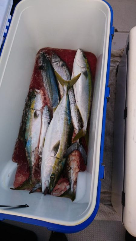 オフショアジギング初挑戦