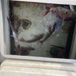 久しぶりの小豆島の西側回り