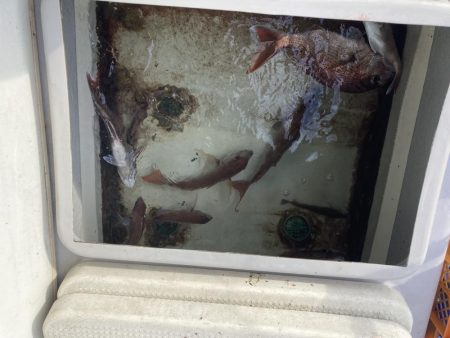 久しぶりの小豆島の西側回り