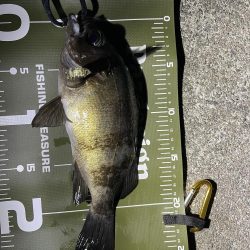 防寒対策しっかりしよう