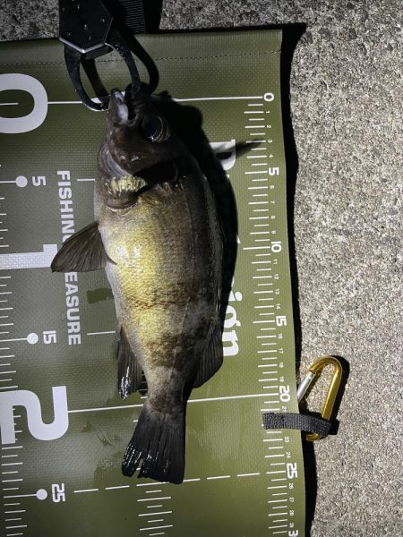 防寒対策しっかりしよう