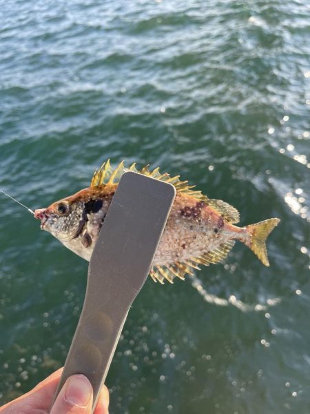 西側はフグ地獄