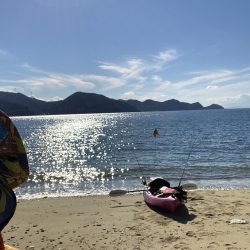 ティップランで自己最高記録