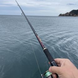 寒波の来る前に