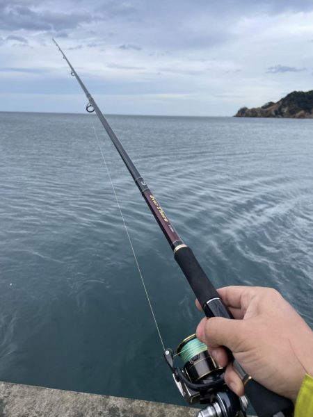 寒波の来る前に