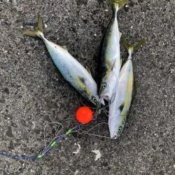 久しぶりの３安打猛打賞。