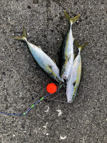 久しぶりの３安打猛打賞。