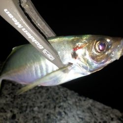 爆風では厳しい