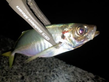 爆風では厳しい