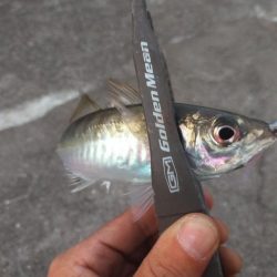 サイズが出ない