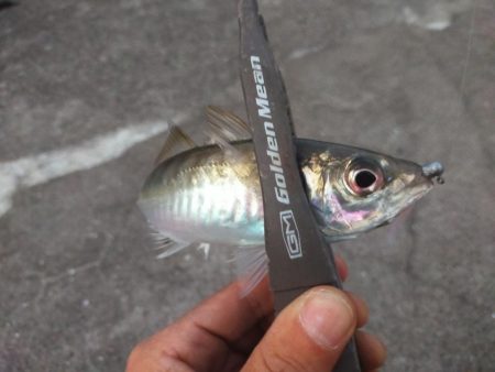 サイズが出ない