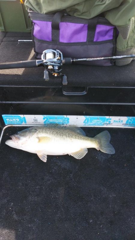 北山田50~37cm７本