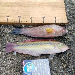 モーニングサービス