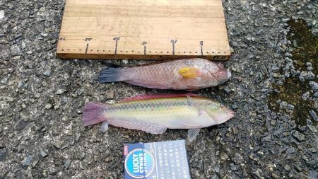 モーニングサービス