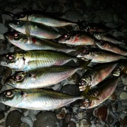 フロートゲーム～