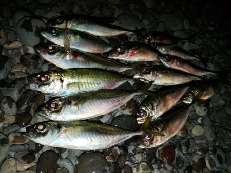 フロートゲーム～