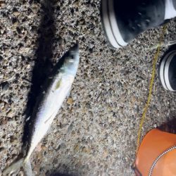 夫婦でタチウオ釣り