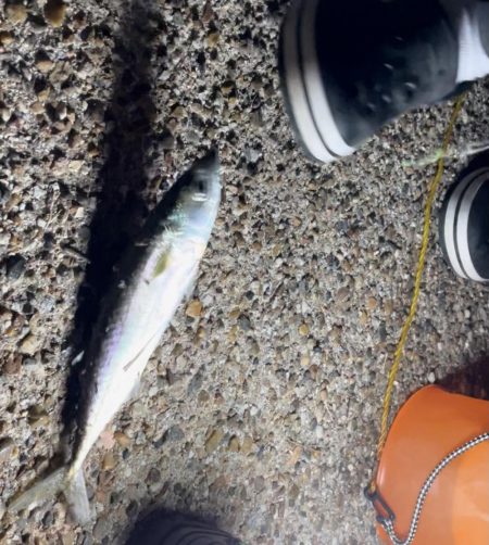 夫婦でタチウオ釣り