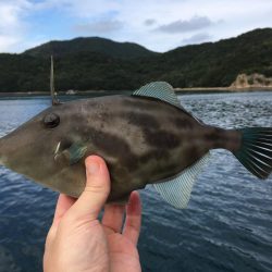 ウチノ海で筏釣り