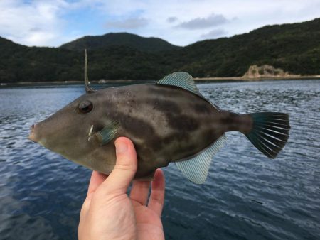 ウチノ海で筏釣り