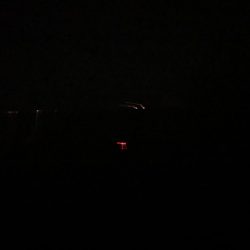 タチウオの群れ接岸中！