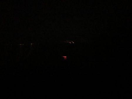 タチウオの群れ接岸中！